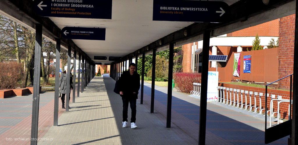 umk w toruniu kierunki studiów